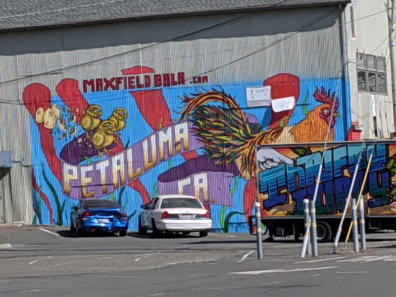 Illustration for article titled More Petaluma